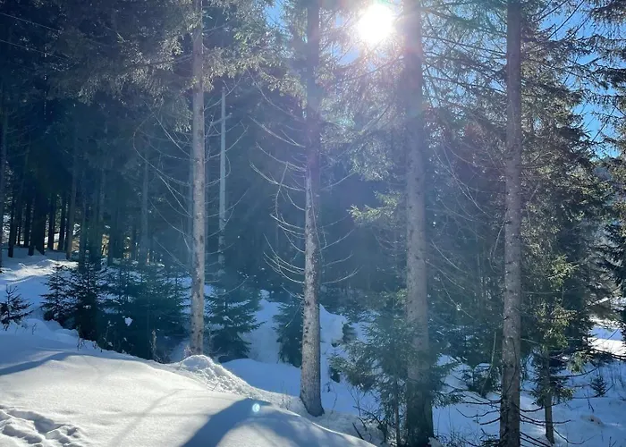 Appartamento Malteser *